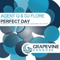 DJ Flore、Agent Q、Emma Street - Perfect Day (Cavin Viviano Remix)