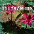 White Noise Meditation - Heavy Rain in the Forest