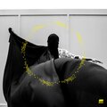 Morgan Hislop、Naina - My Shadow Is Always with Me