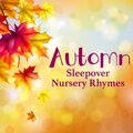Nursery Rhymes and Kids Songs、Toddler Tunes、Nursery Rhymes - Ten in the Bed