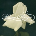 Piano Magic - Never It Will Be the Same Again