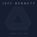 Simulation