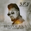 Ojah、S. K. Y the Tamale Boy、One Naira、Double Tee - Zamujegaba