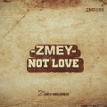 Not Love
