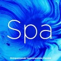 Spa - Ontspannende Instrumentale Muziek