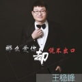 王稳峰 - 少壮不努力长大卖苦力