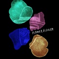 FLOWER FLOWER - Tsuki (Acoustic)