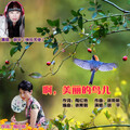 快乐天使 - 啊，美丽的鸟儿
