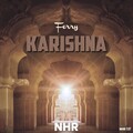 Ferry - Karishna 20190120