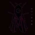 Andre Salmon、Jaime Mayer - Acidum