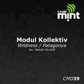 Modul Kollektiv - Wildness
