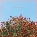 ROTH BART BARON - HOMECOMING