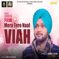 Mera Tere Naal Viah、Amrik Saini - Mera Tere Naal Viah