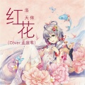 洛天依 - 红花
