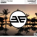 Zaneti - Walking in the Dark