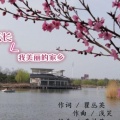 浅笑 - 天长我美丽的家乡