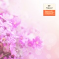 韩国群星、Tomaso Albinoni (阿尔比诺尼) - Albinoni: Adagio In G Minor