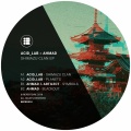 Ahmad、Akinsa - Metabolism
