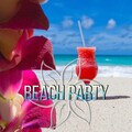 Beach Party Music Collection - All Night Long