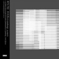 李剑鸿 - 跳动、重叠的屏幕 (二)