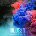 Bluesy - Bhopal Blues 19 (Original Mix)