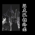 张凯 - 注定孤独终老