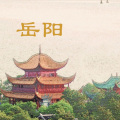 肖斯塔 - 岳阳