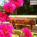 DIVERZE.、SEAN AVERAGE、Johnny B.、Skoob - FERTILIZER. ((Explicit))