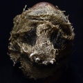 Self Jupiter、Volume10、Blu - Caked Up (Explicit)