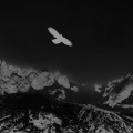 冯十 - 乌兰巴托的夜