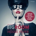 Roby Rob、The Beatshakers - To the Dancefloor ((The Beatshakers Mix))