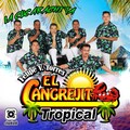 Torres、El Cangrejito Tropical de Felipe - La Cucarachita