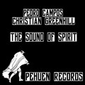 Pedro Campos、Christian Greenhill - Resilencia (Original Mix)
