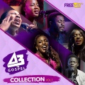 FreemeTV、Tobi Osho - Excess Love Medley