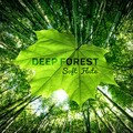 Deep Forest - Soft Flute – Deep Nature, Meditation, Nature Secret, Ambient Lounge, Rain Forest, Green Sky, Rain Relaxation