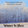 Winter Is Here - Rustgevende Traditionele Droom Zacht Muziek voor Kerstdiner Mindfulness Therapie Stress Verminderen met Instrumentale New Age Natuur Geluiden