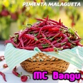 MC Bangu - Pimenta Malagueta (Explicit)
