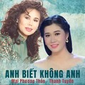 Mai Phương Thảo - Tình yêu cách trở