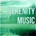 Serenity Nature Sounds Academy - Peaceful Music