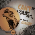 Can't Leave You