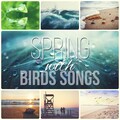 Hypnosis Nature Sounds Universe - Nature Sounds with Birds