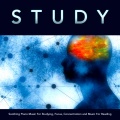 Focus Study Music Academy、Einstein Study Music Academy、Music for Reading - Music For Studying and Focus