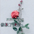 苏同学、张小煜 - 哪吒闹海 (DJ版)