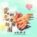 林加夕 - 爱的魔力转圈圈
