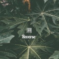 李佩琪 - 溯
