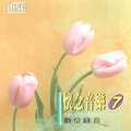 纯音乐 - 南国情歌 (恰恰)