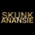 Skunk Anansie、Skin、One Little Indian - Charity (High Rankin Remix)