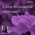 Chris Wonderful - Identification