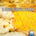 43 Peaceful Sounds for a Calm Mind