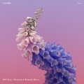 Gramatik、Ramzoid、Flume - Wall F**k (Gramatik&RamzoidRemix)